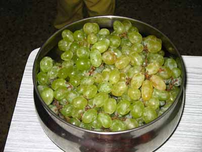grapes-2964.jpg